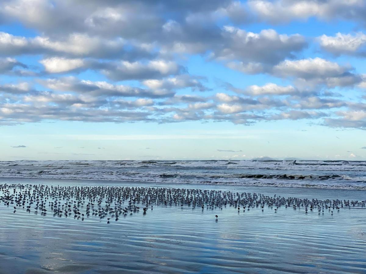Villa Tidal House #10 Ocean Shores Esterno foto